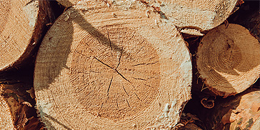 Lesy Srovnalík - vždy prvotřídní kvalita dřeva